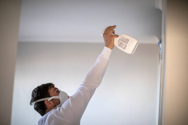 Best Commercial Mold Removal  in Crab Orchard, WV