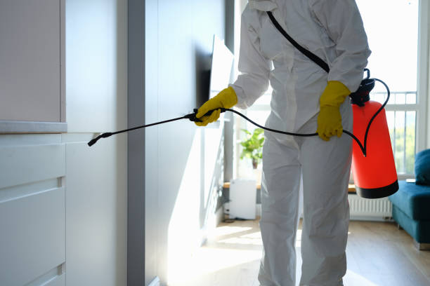 Best Mold Cleaning Services  in Crab Orchard, WV